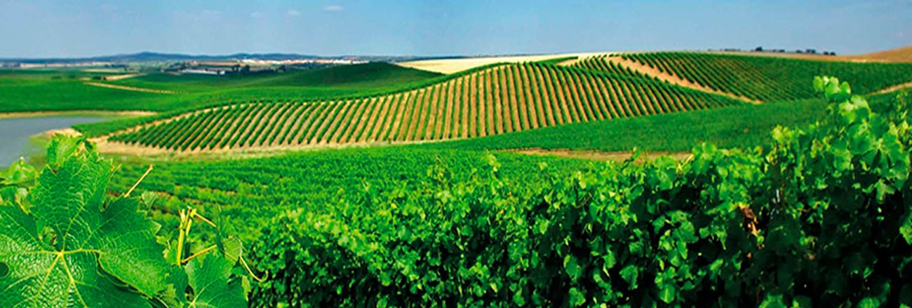 Alentejo - Portugal