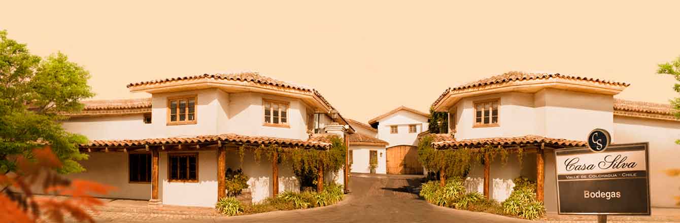 Casa Silva