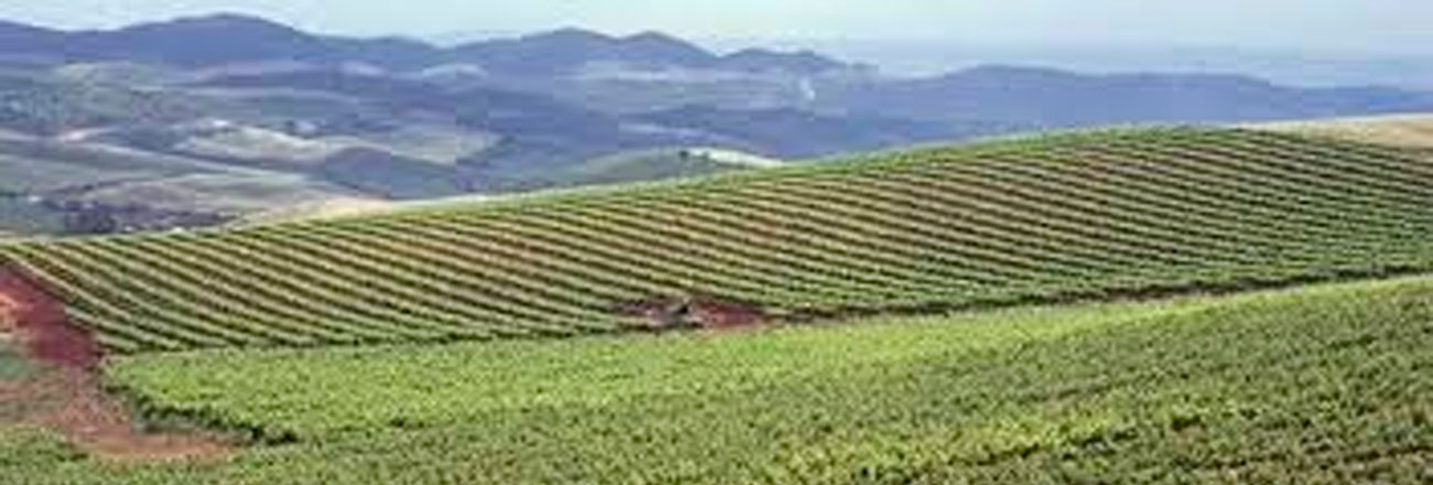 Jumilla