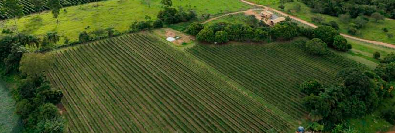Quinta dos Maias
