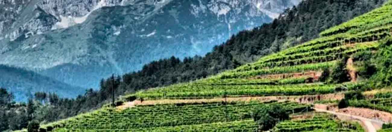 Trentino Alto Adige