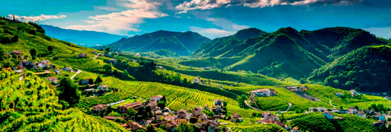 Veneto - Valdobbiadene