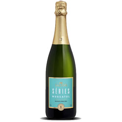 ESPUMANTE BRANCO SERIES SALTON MOSCATEL 750 ML