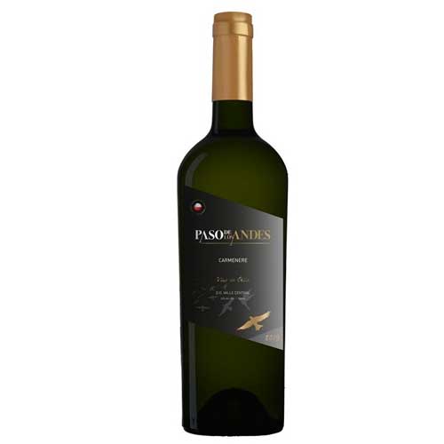 VINHO TINTO PASO DE LOS ANDES CARMÉNÈRE 750ML