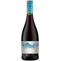 VINHO TINTO QUEULAT GRAN RESERVA PINOT NOIR 750ML
