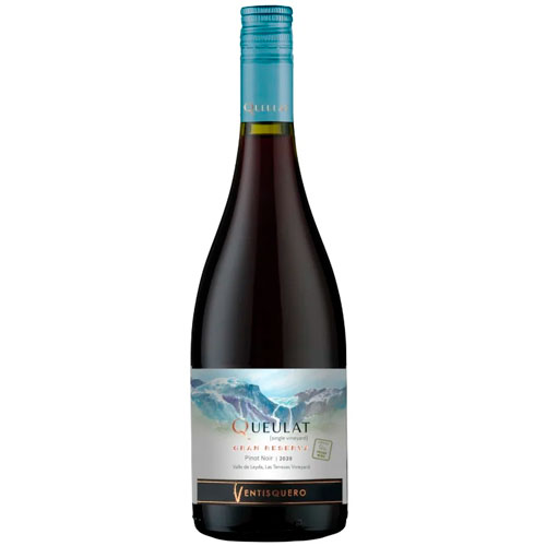 VINHO TINTO QUEULAT GRAN RESERVA PINOT NOIR 750ML