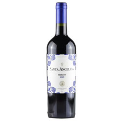 VINHO TINTO SANTA ANGELICIA MERLOT 750 ML